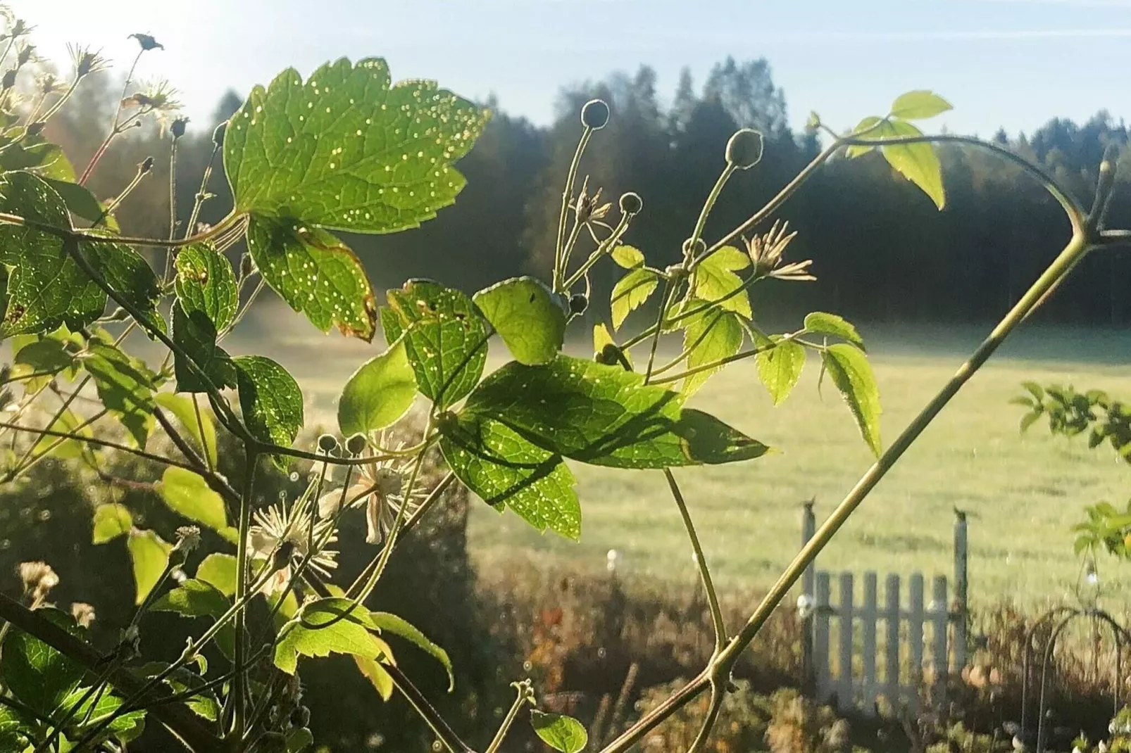 7 person holiday home in NÄSSJÖ-Not tagged