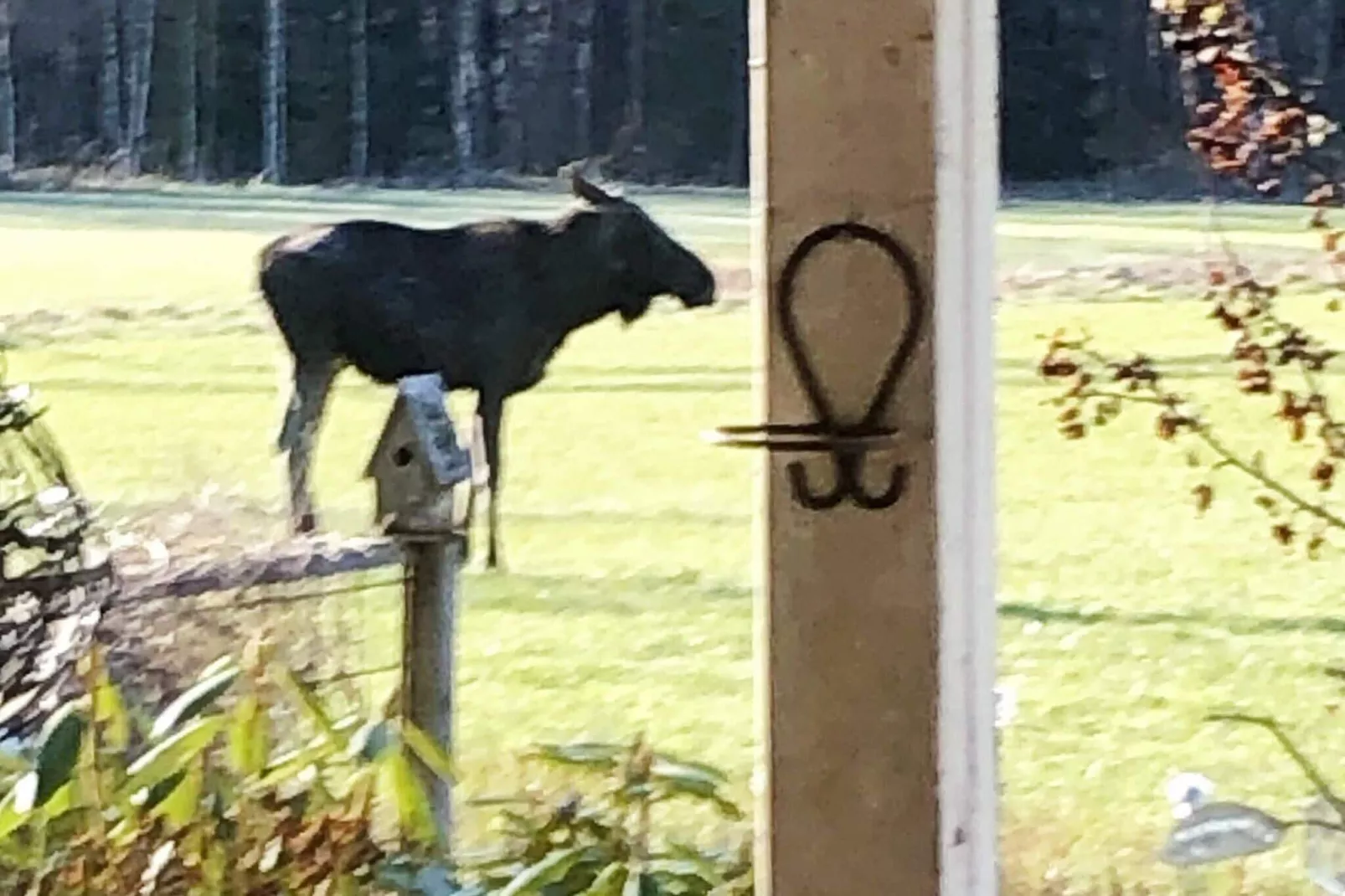 7 person holiday home in NÄSSJÖ-Not tagged