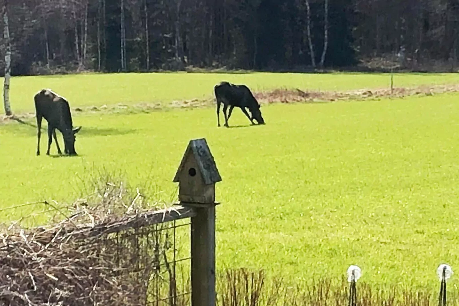 7 person holiday home in NÄSSJÖ-Not tagged