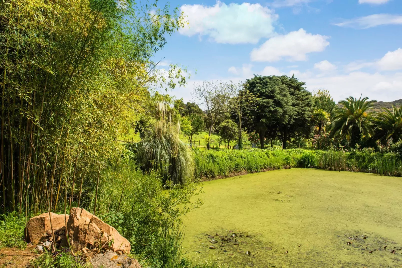 Casa das Pedras-Gardens summer