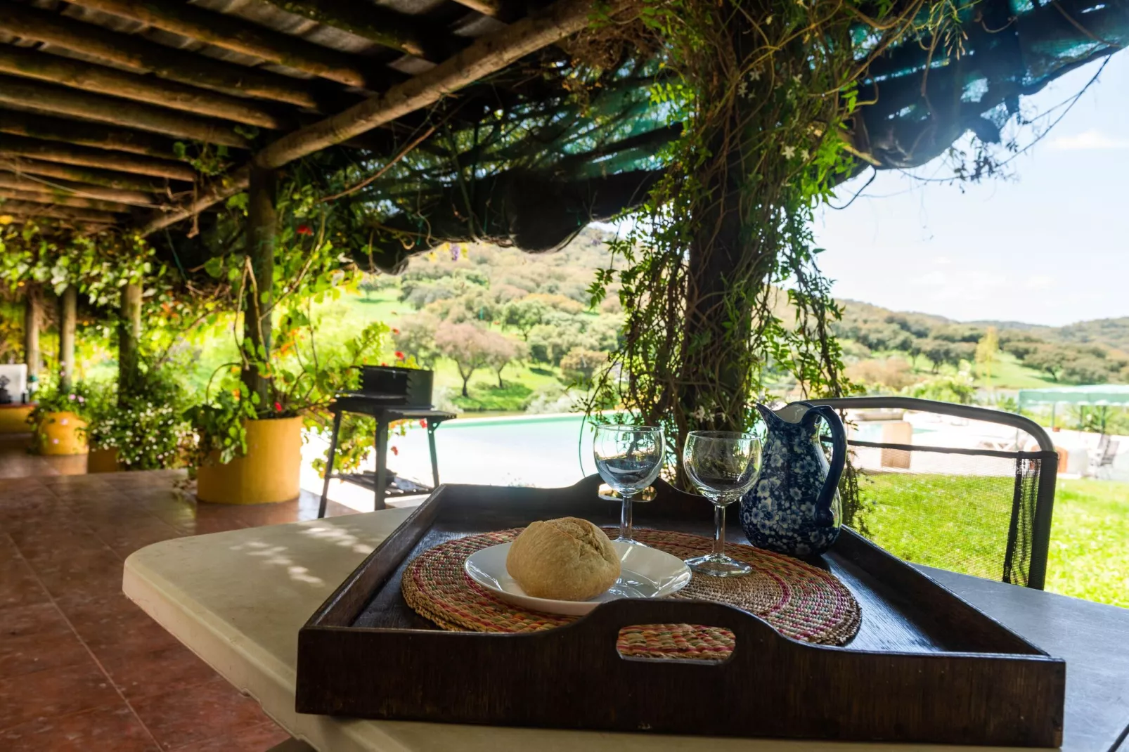 Casa das Pedras-Terrace balcony