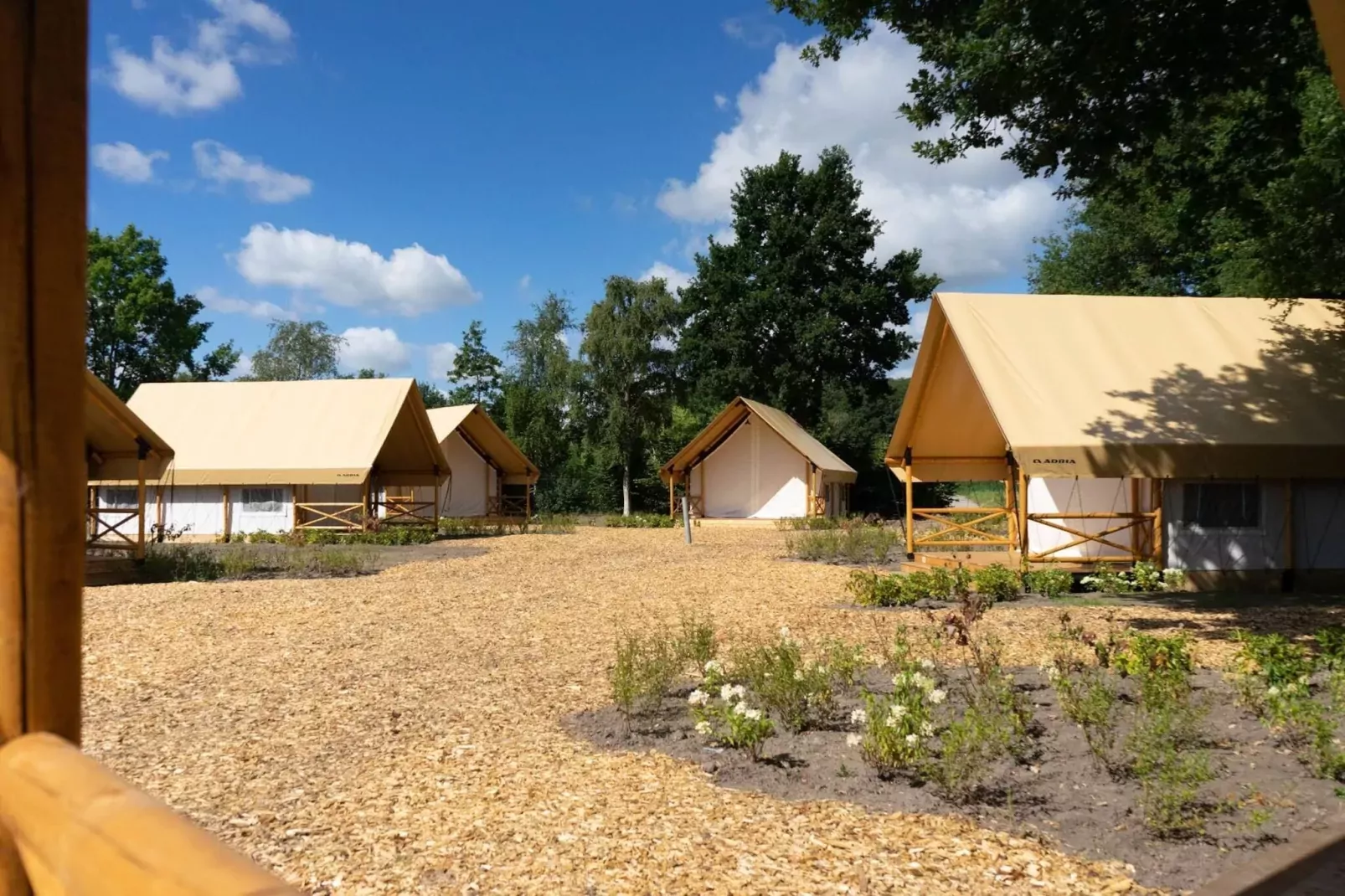 Resort Zilverstrand 12-Exterior summer