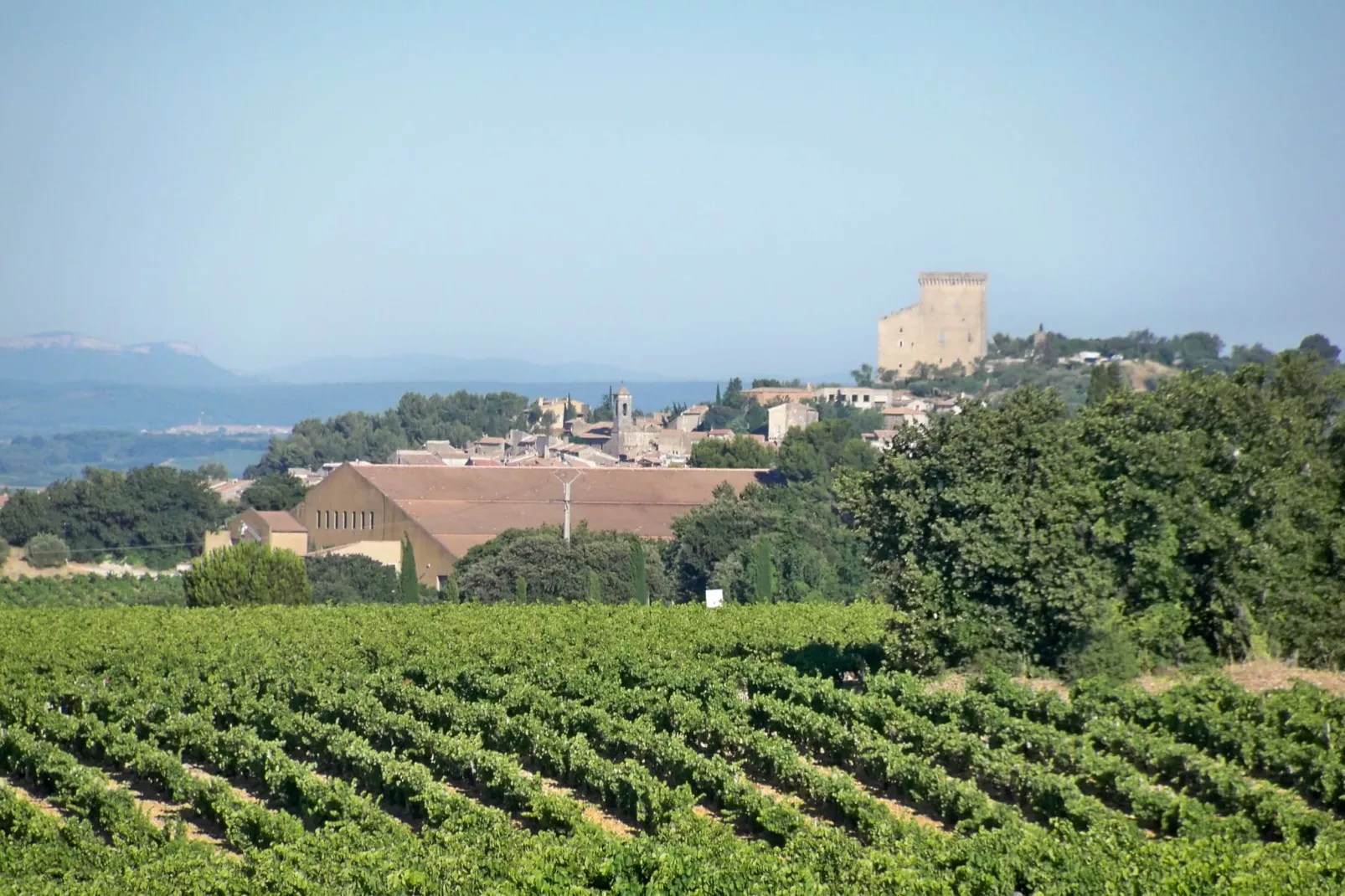 Amélie-Areas summer 20km