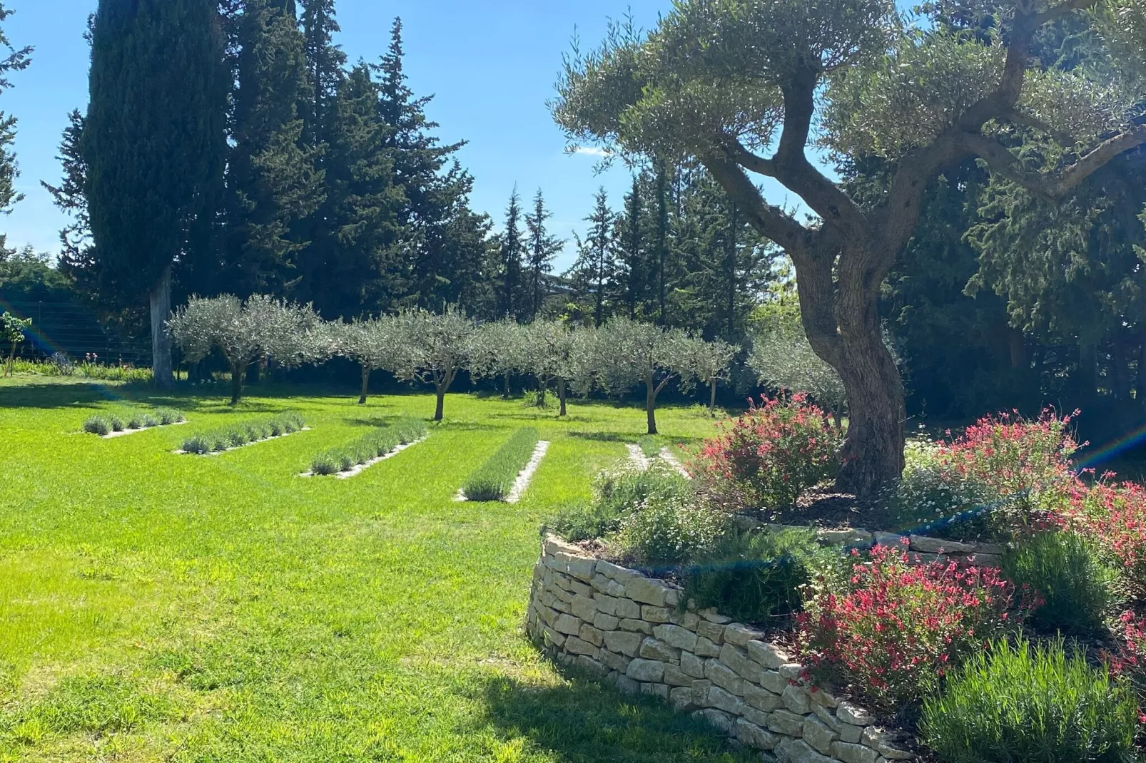 Amélie-Eline-Gardens summer