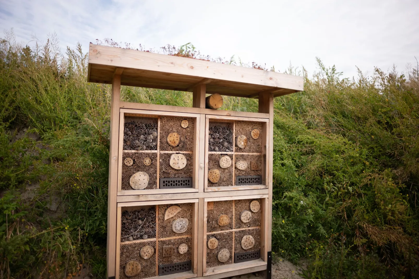 Resort Callantsoog 1-Ambiente