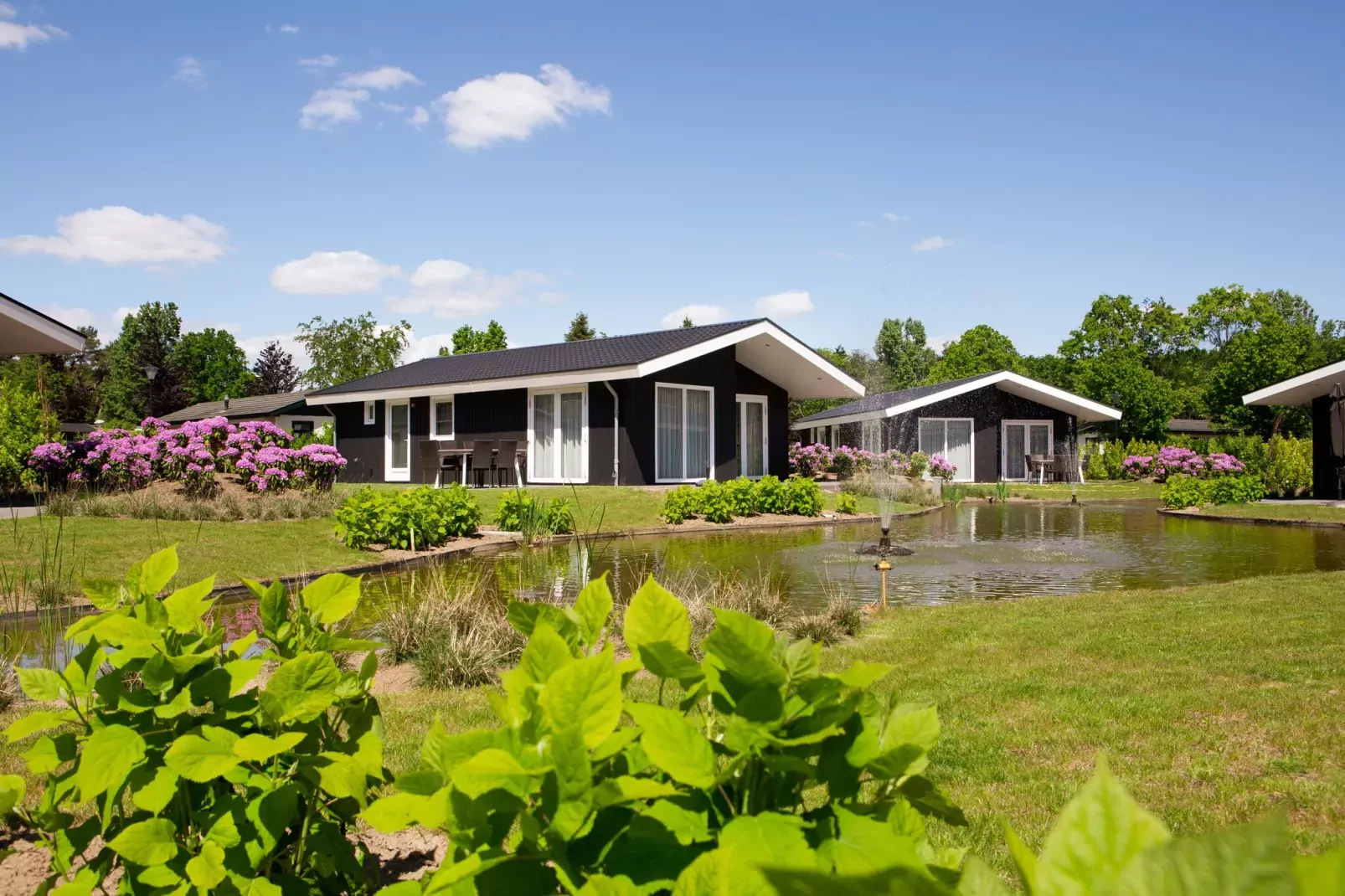 Vakantiepark Molenvelden 1-Exterior summer