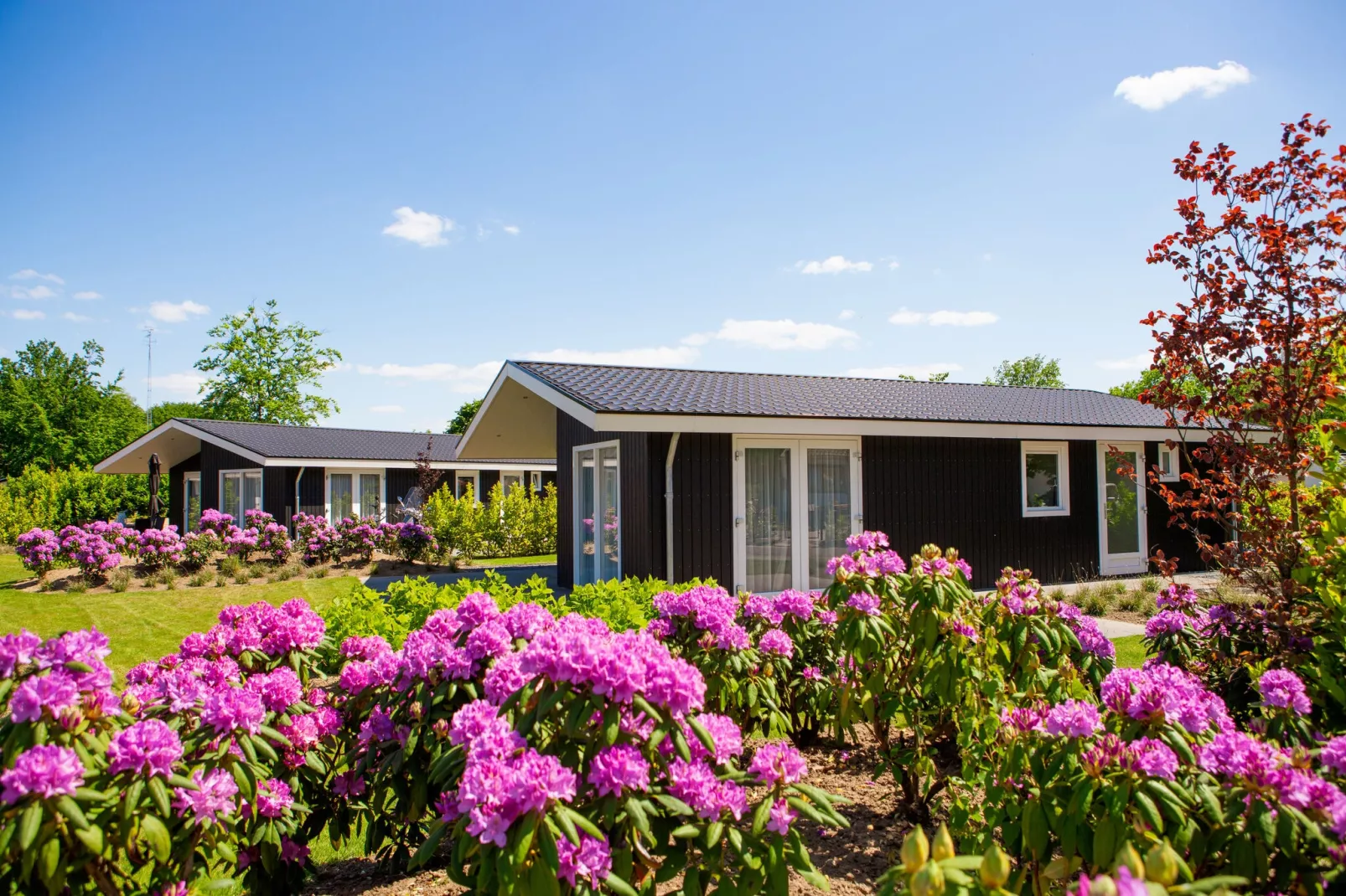Vakantiepark Molenvelden 1-Exterior summer