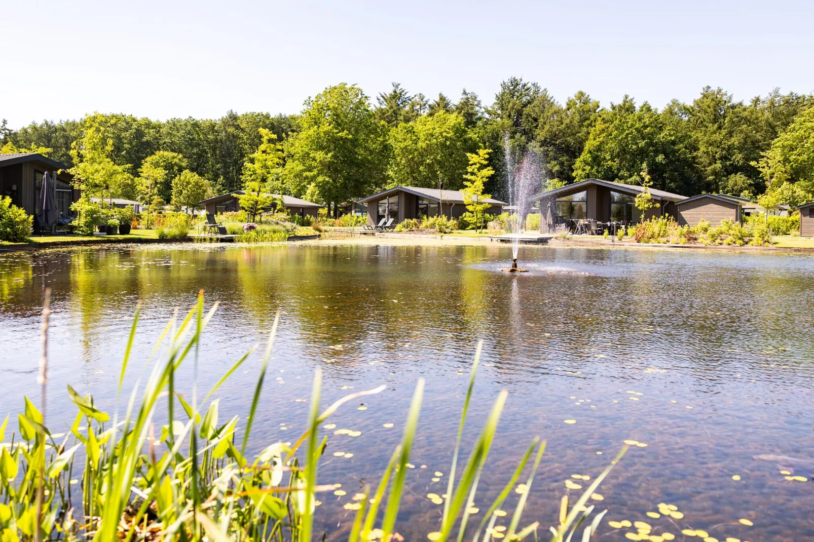Vakantiepark Molenvelden 1-Park facilities