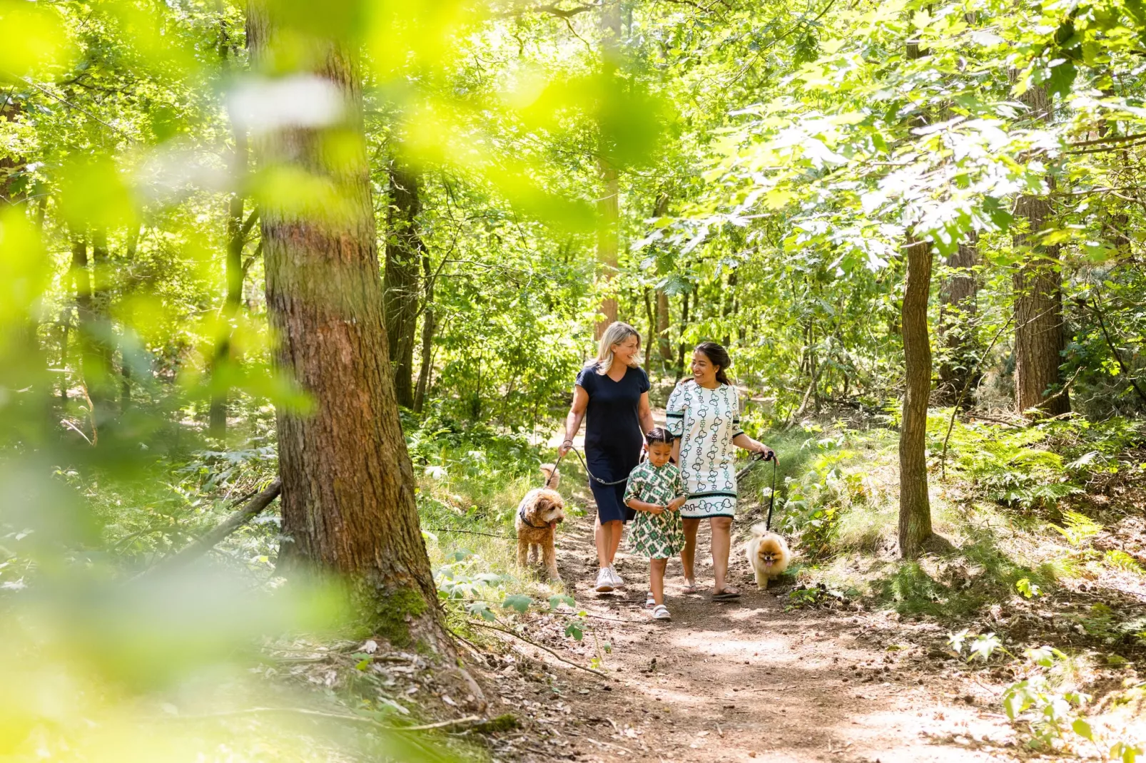 Vakantiepark Molenvelden 8-Areas summer 1km