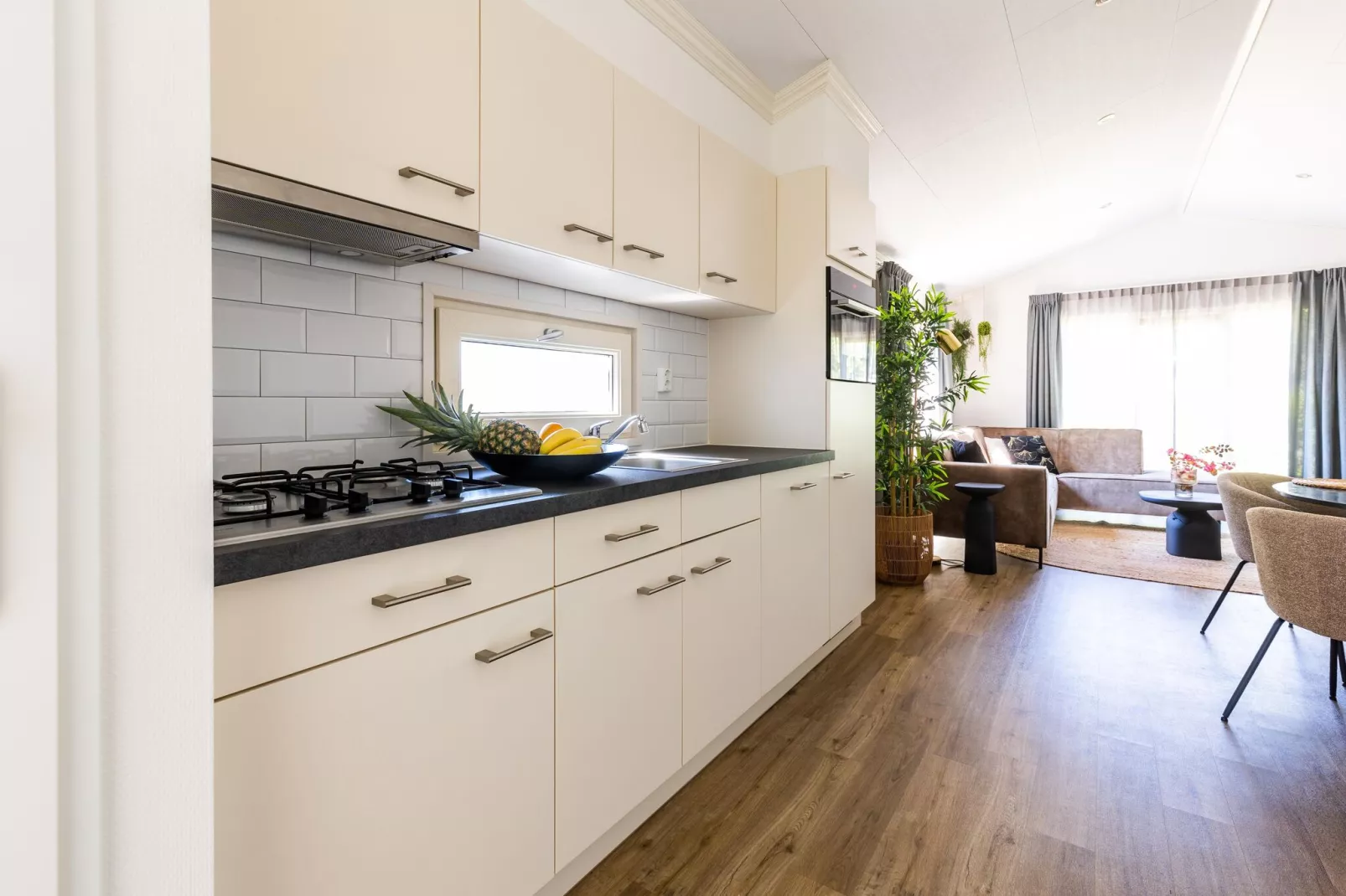 Vakantiepark Molenvelden 9-Kitchen
