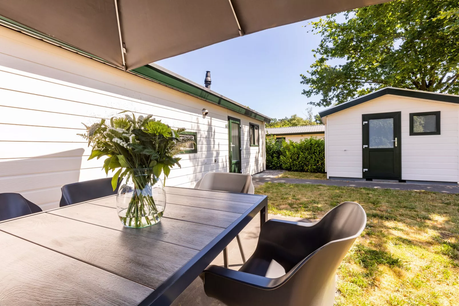 Vakantiepark Molenvelden 9-Terrace balcony