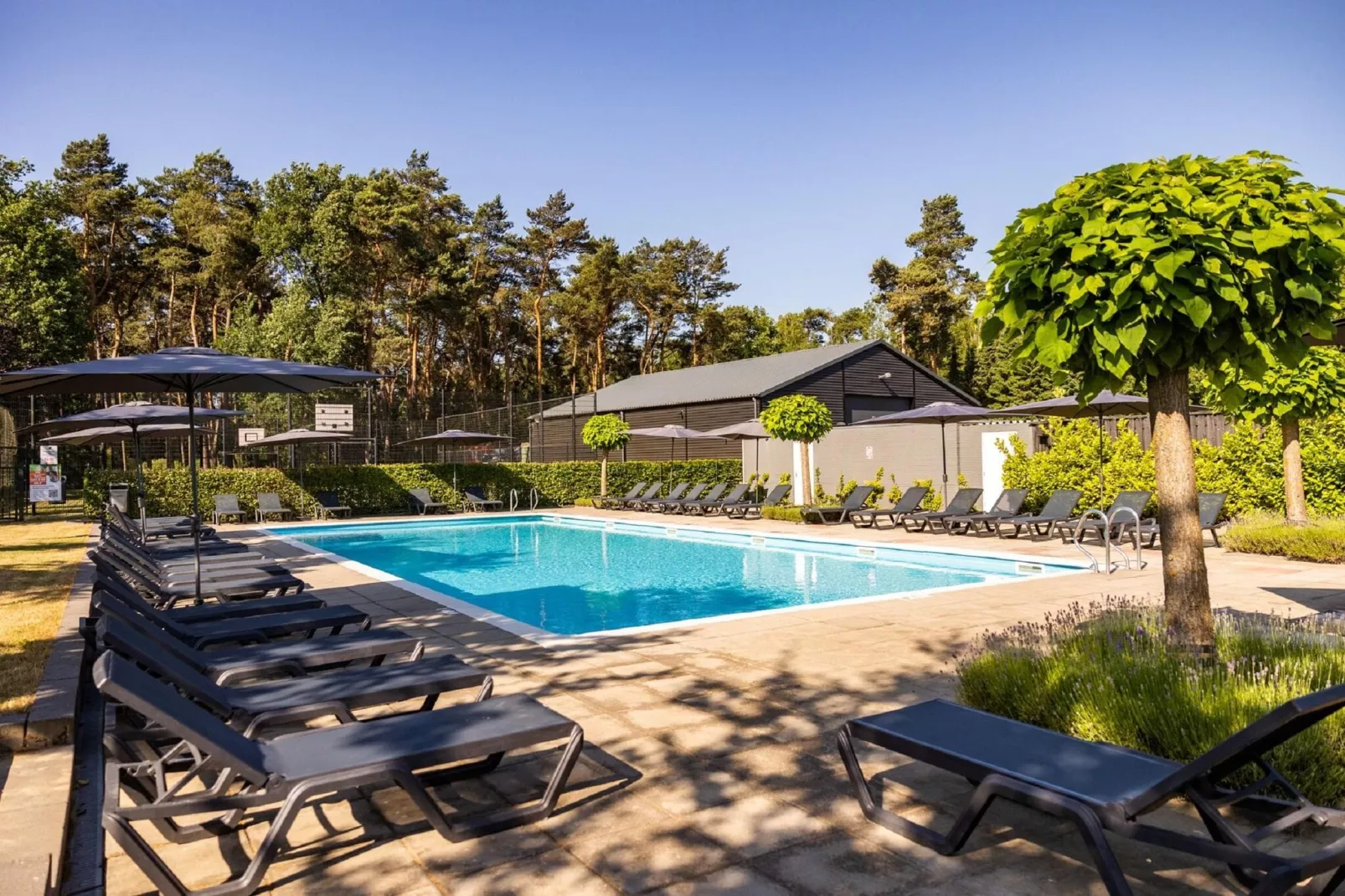 Vakantiepark Molenvelden 9-Park facilities