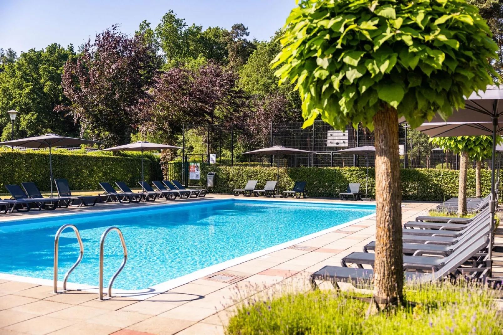 Vakantiepark Molenvelden 9-Park facilities