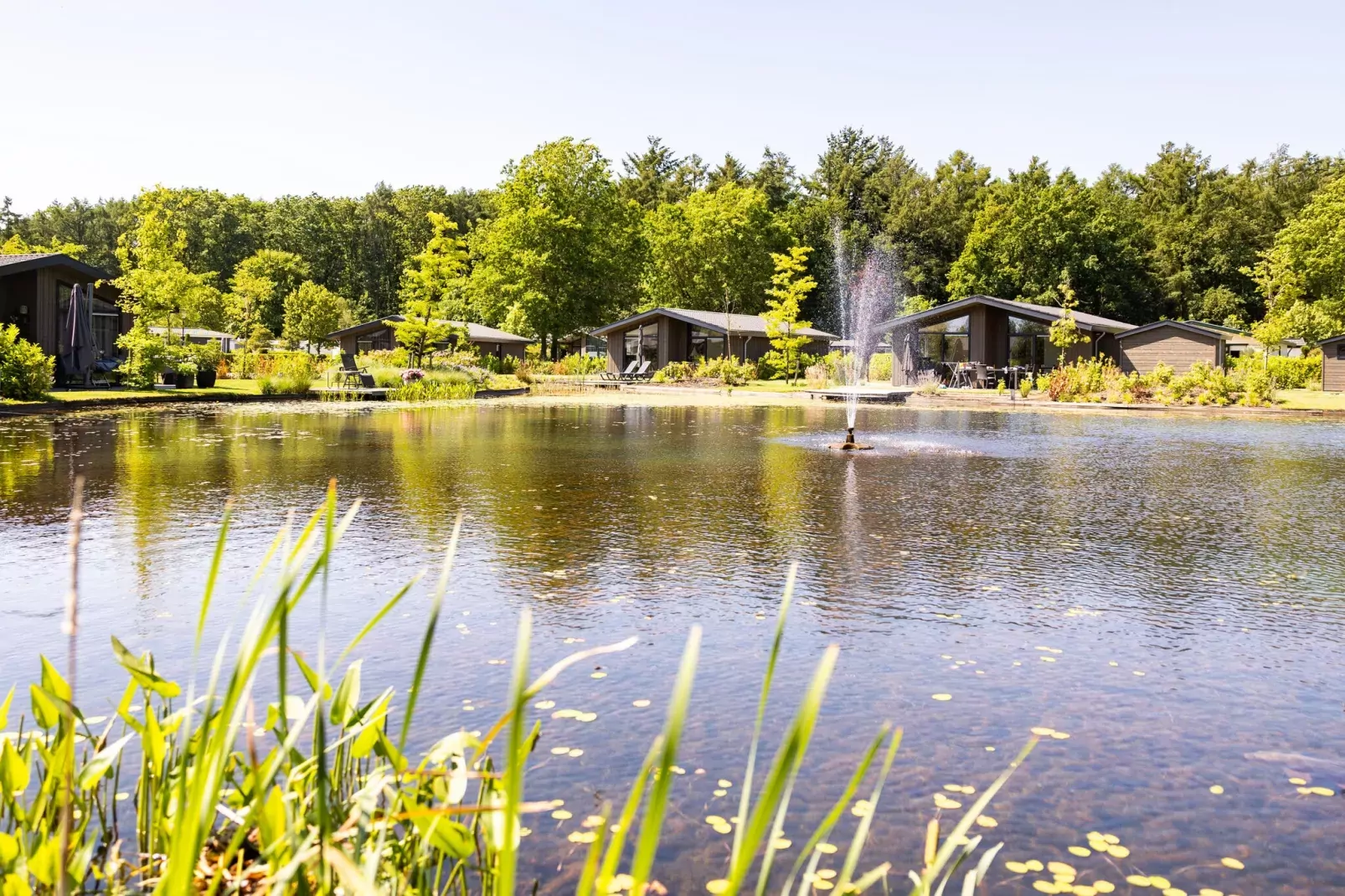 Vakantiepark Molenvelden 9-Park facilities