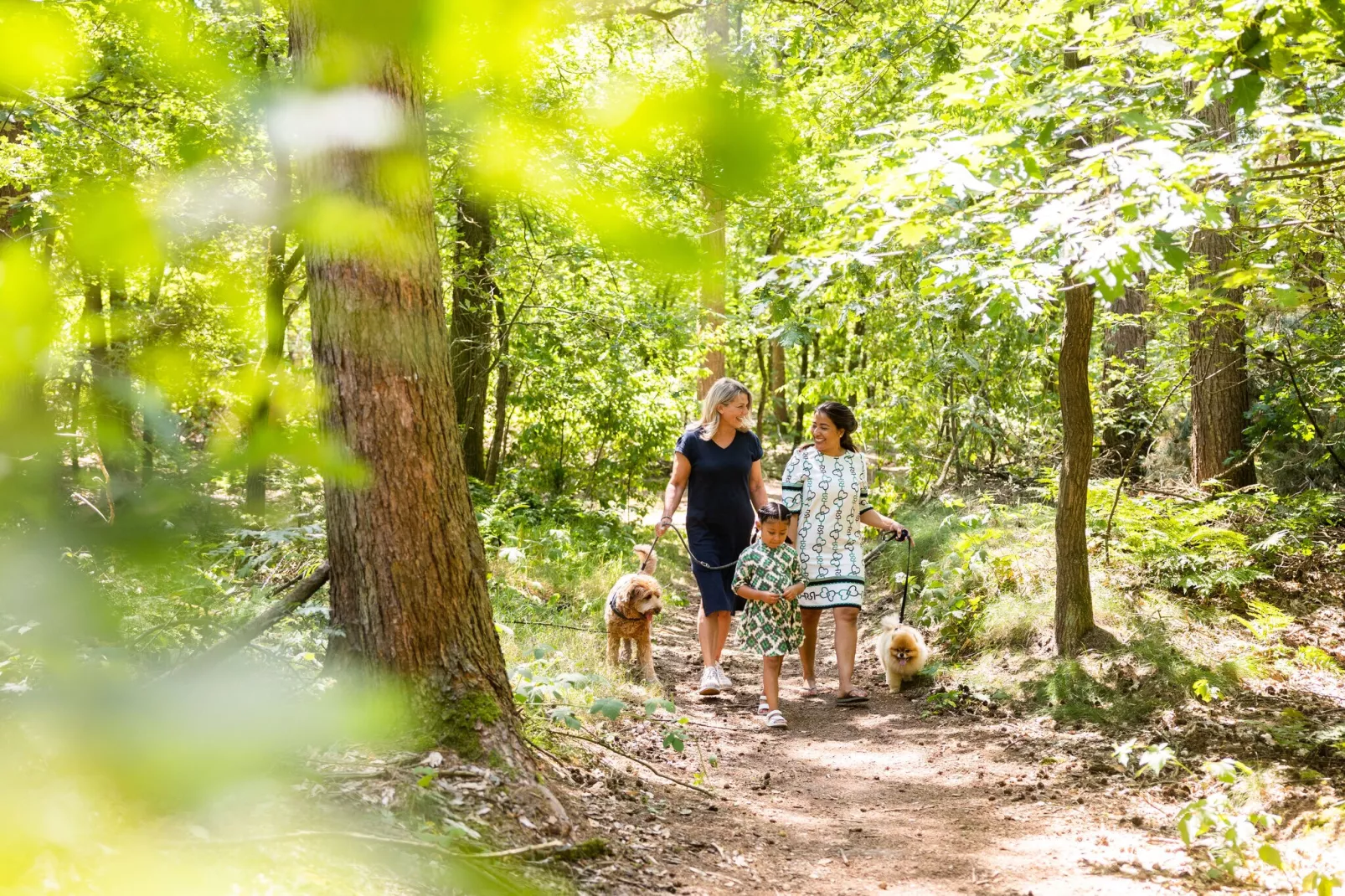 Vakantiepark Molenvelden 9-Areas summer 1km