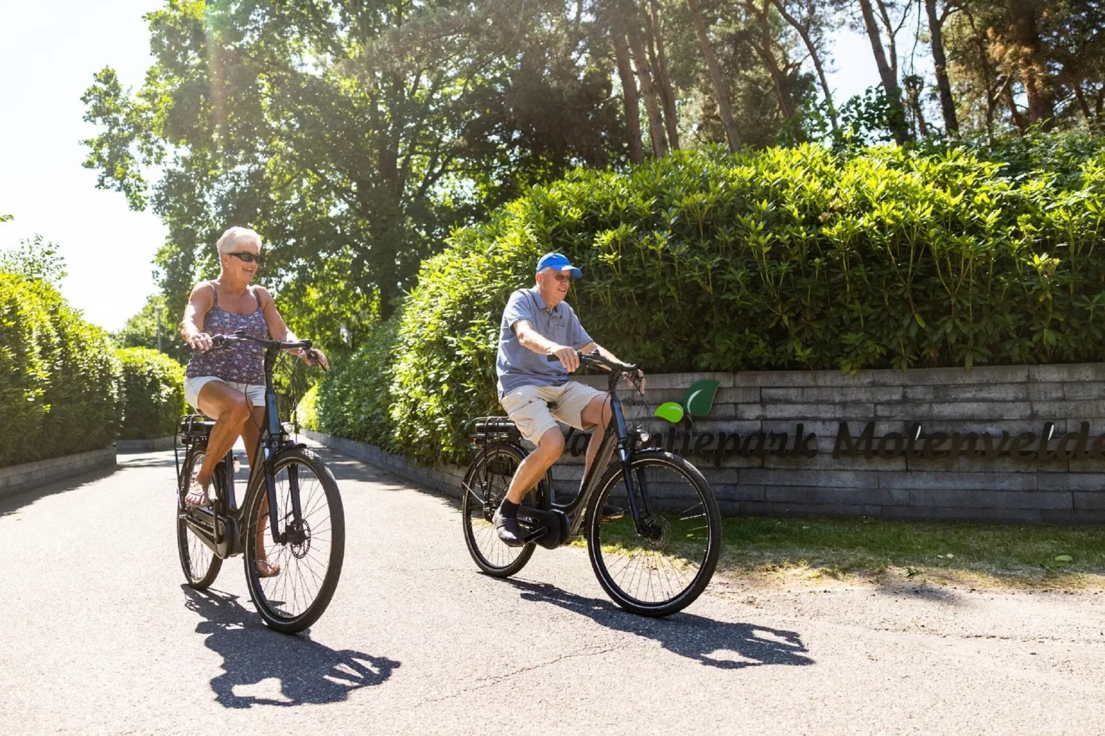 Vakantiepark Molenvelden 9-Areas summer 1km