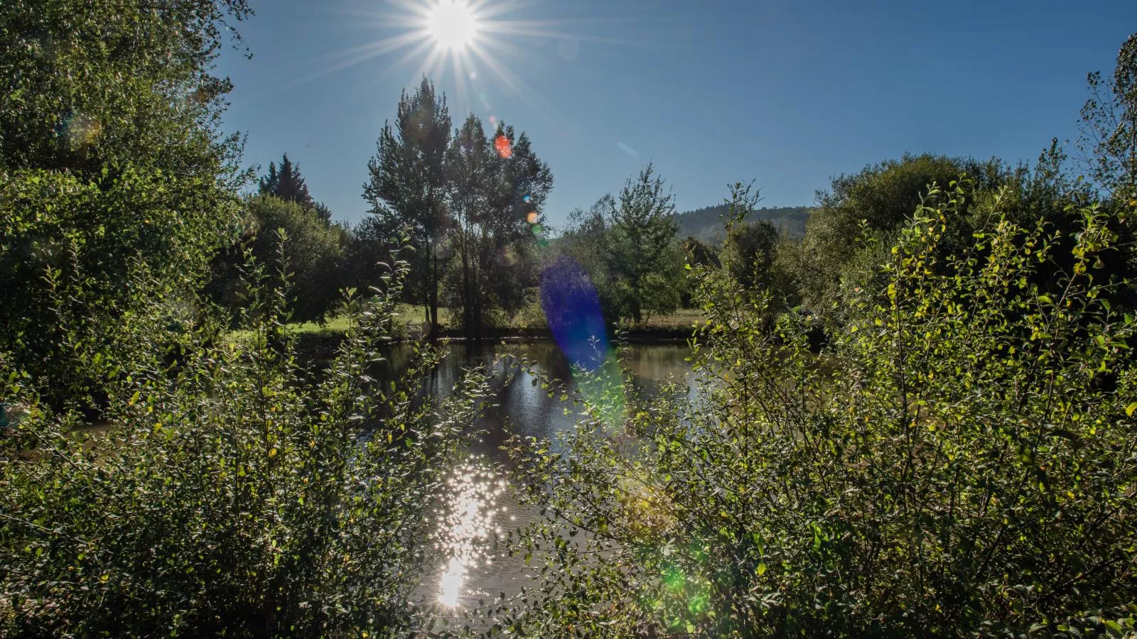 Lac Bleu nr 19-Aussicht Sommer