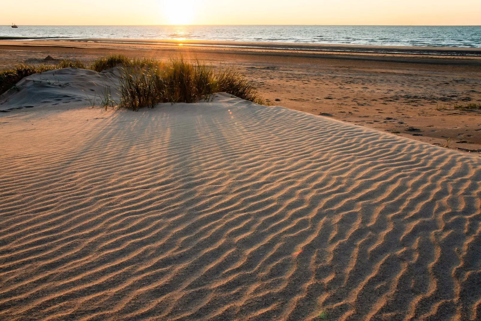 Sun Beach 0301-Areas summer 5km