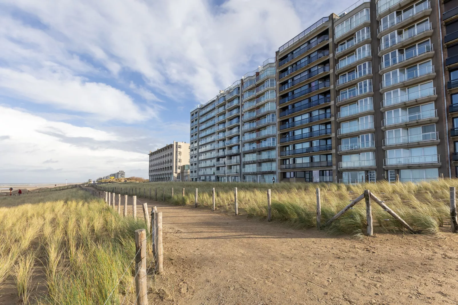 Zandroos 0302-Exterior summer