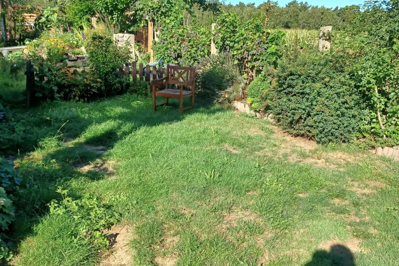 Hundefreundliches Ferienhaus am See MIT Whirlpool-Gardens summer