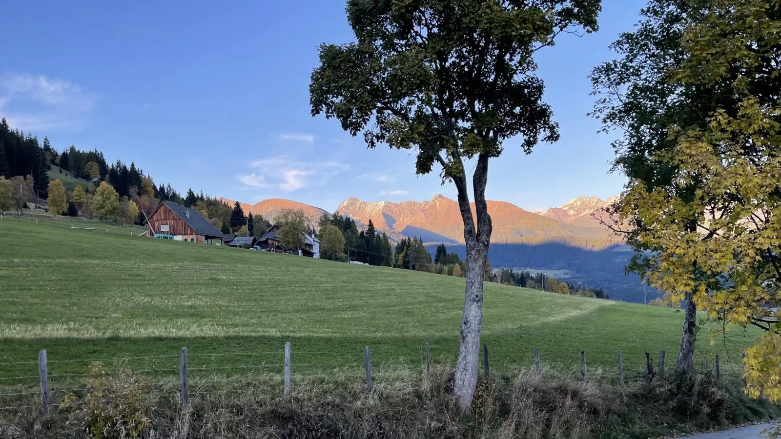 Lärchenhof Top 101-Gebiete Sommer 1 km