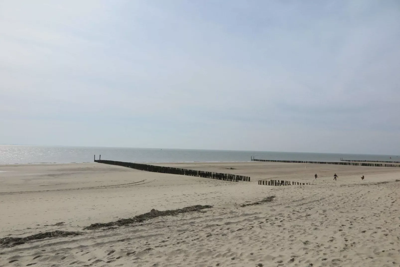 Slaapstrandhuisje - Strand dishoek 60-View summer