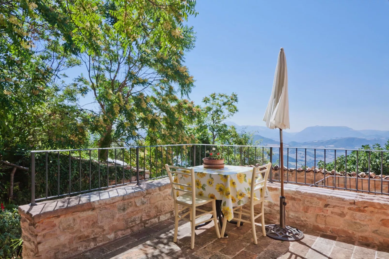 Il Conio Ginestra-View summer