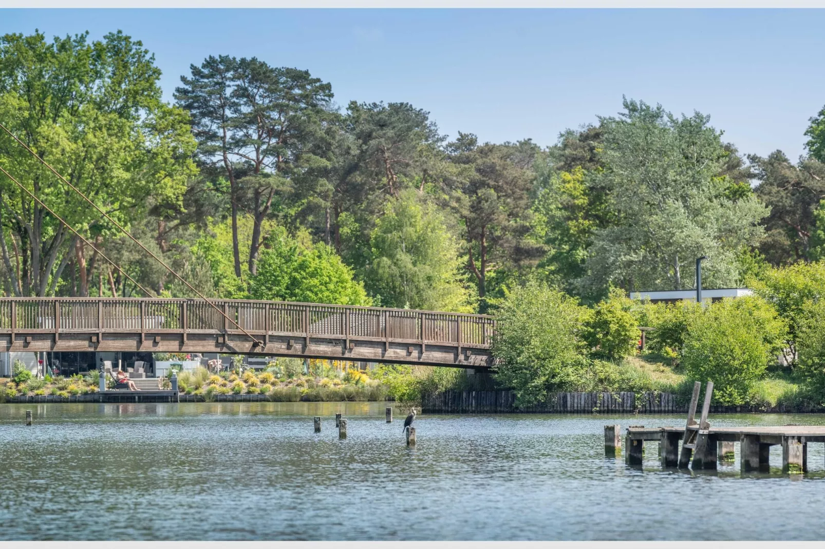 Resort Zilverstrand 13-Areas summer 1km