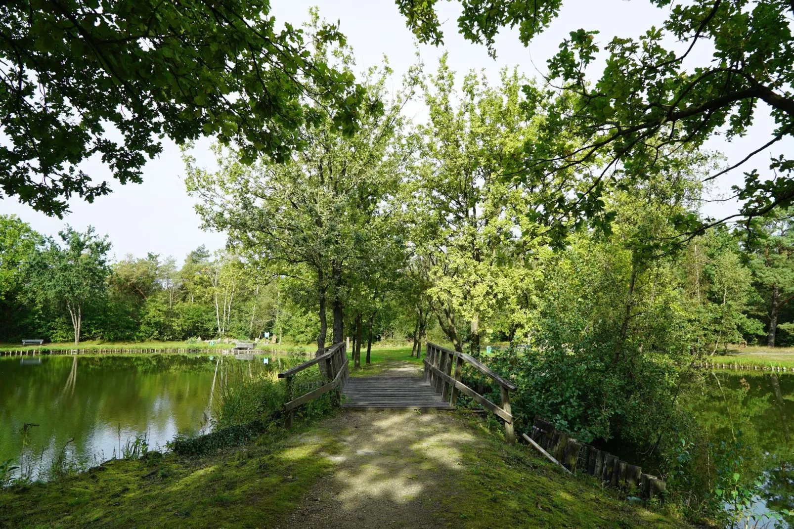 Resort Zilverstrand 13-Areas summer 1km