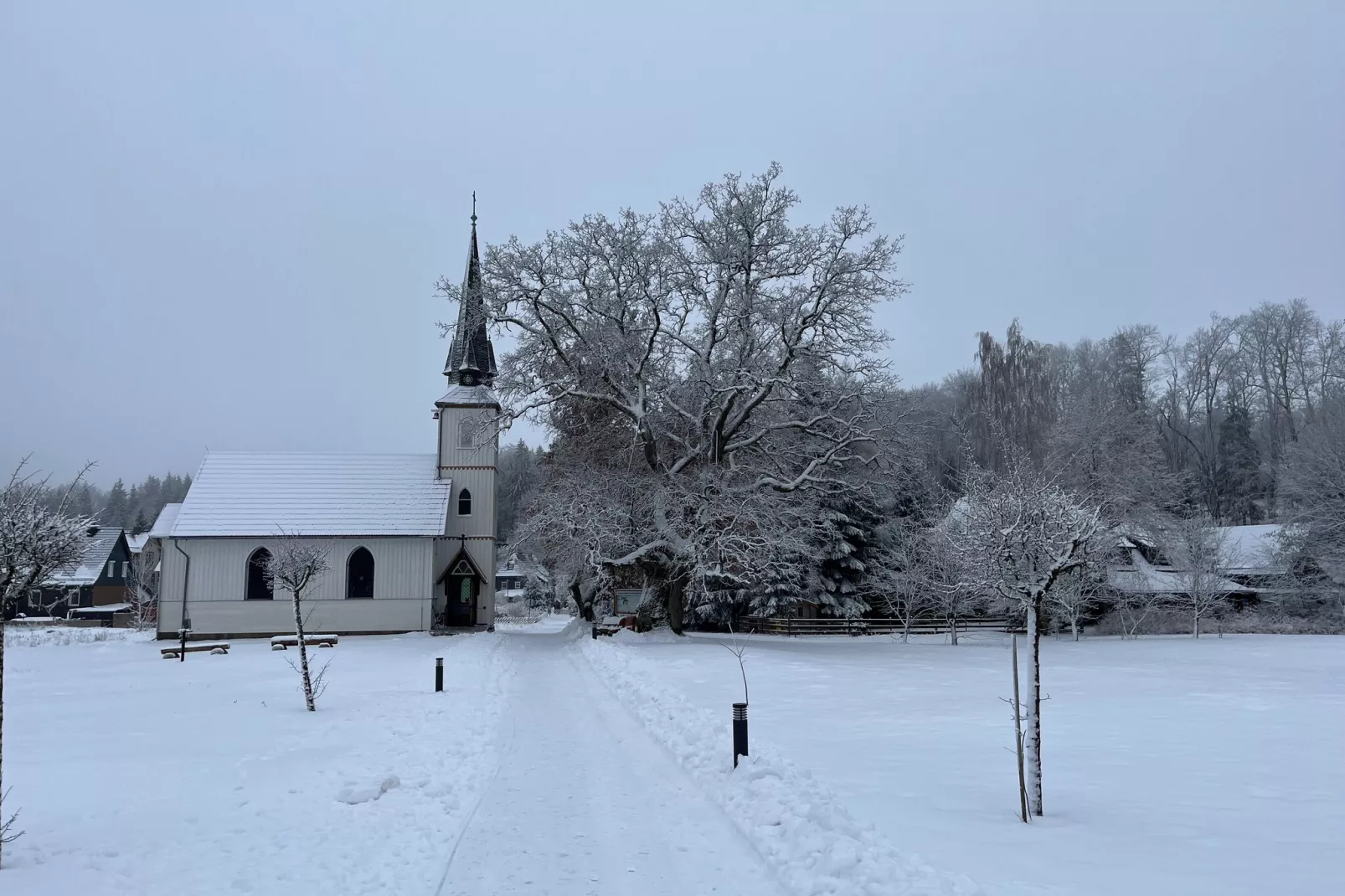 Hexenstieg-Area winter 5km