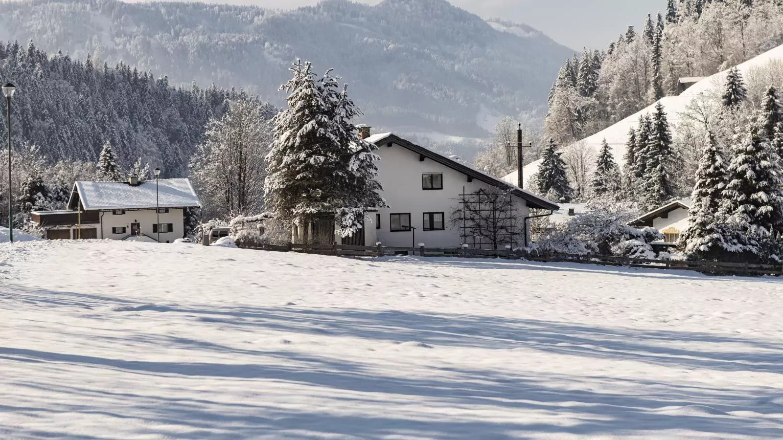 Platzhirsch-Exterior winter