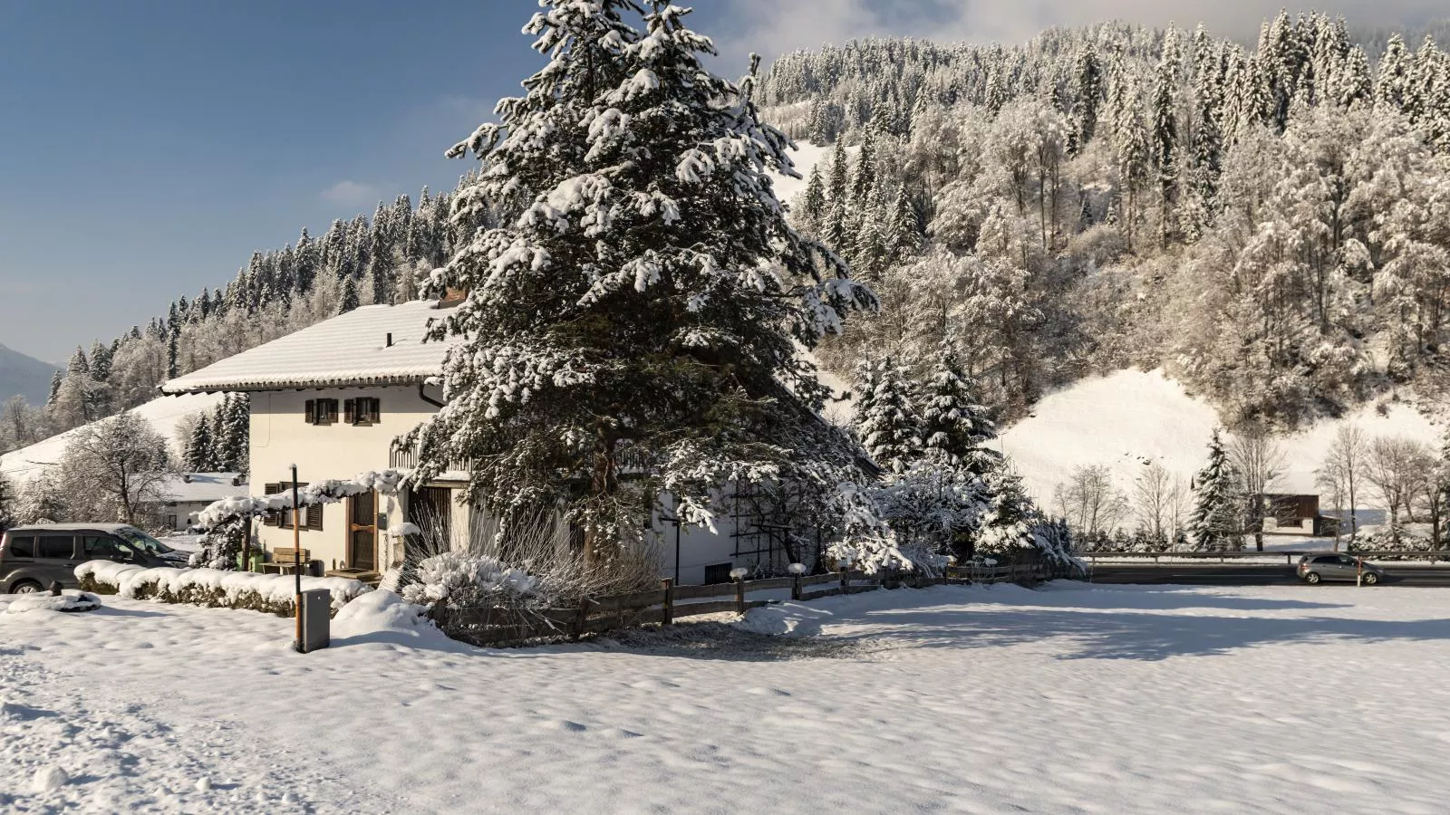 Platzhirsch-Exterior winter