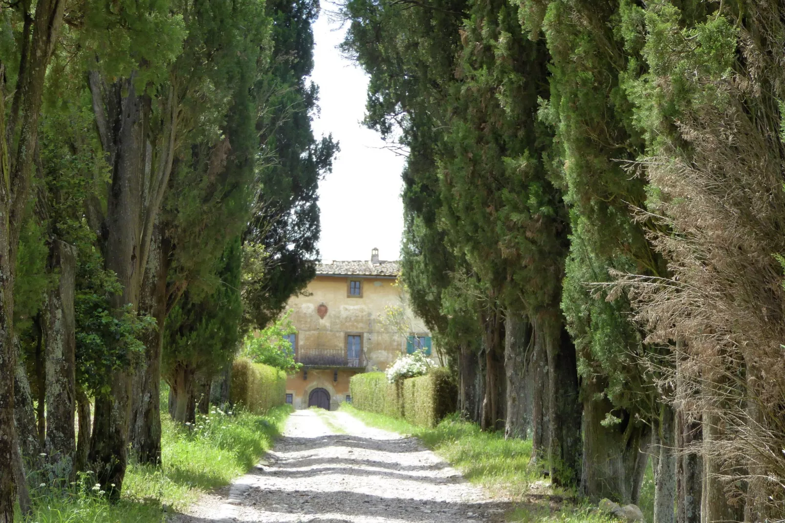 Allodola-Exterior summer