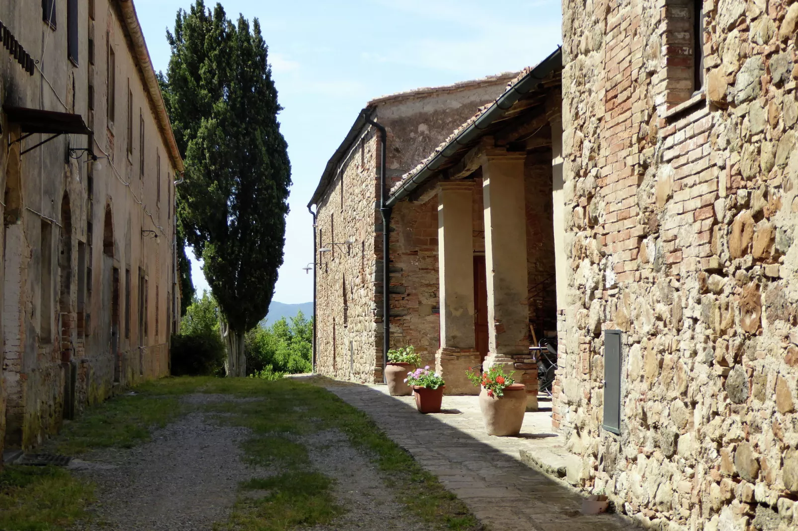 Allodola-Exterior summer