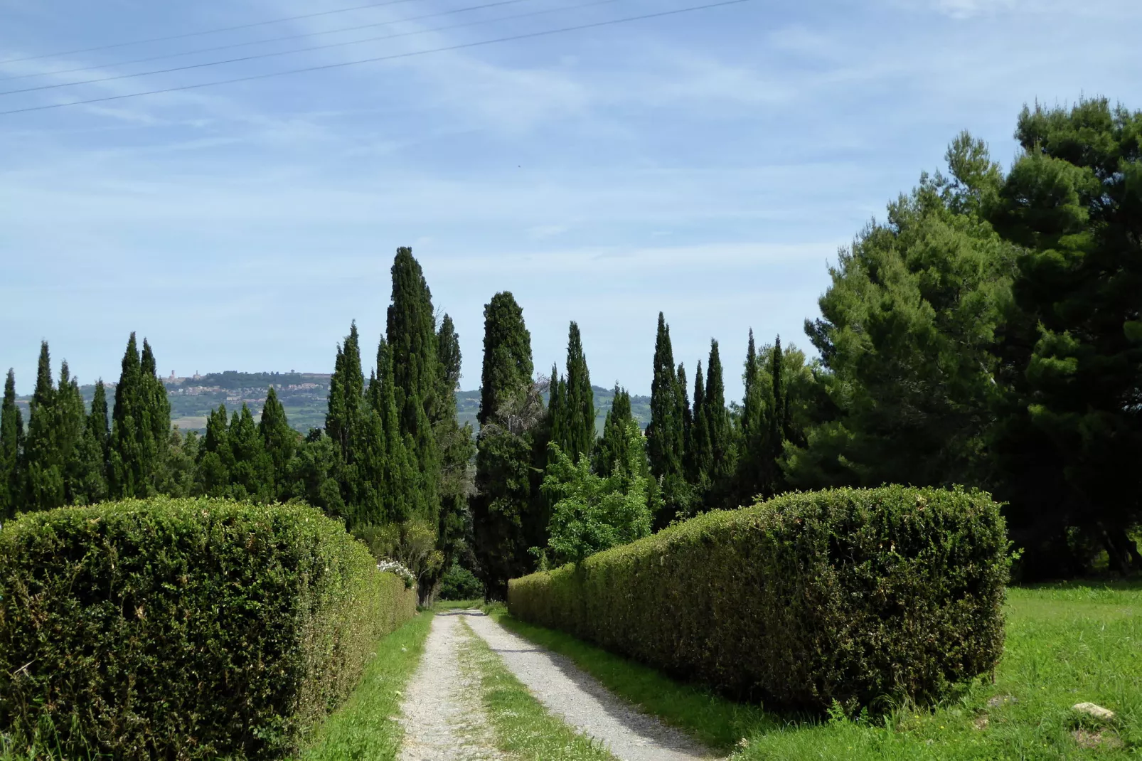 Allodola-Gardens summer