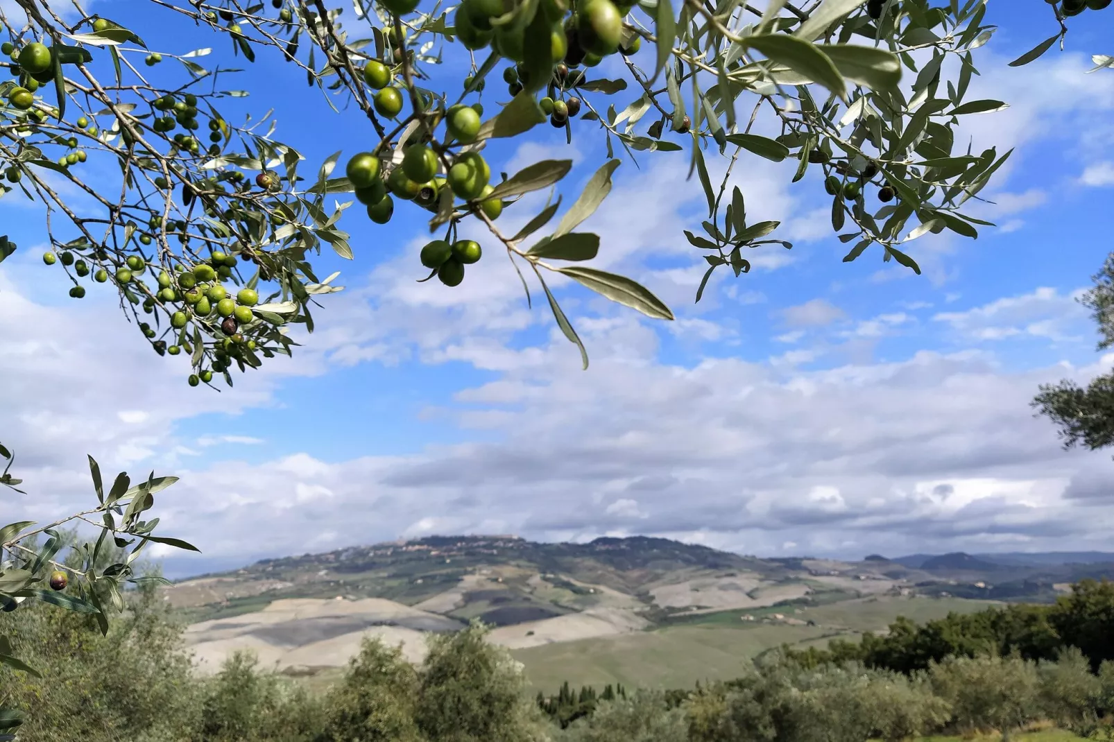 Allodola-View summer