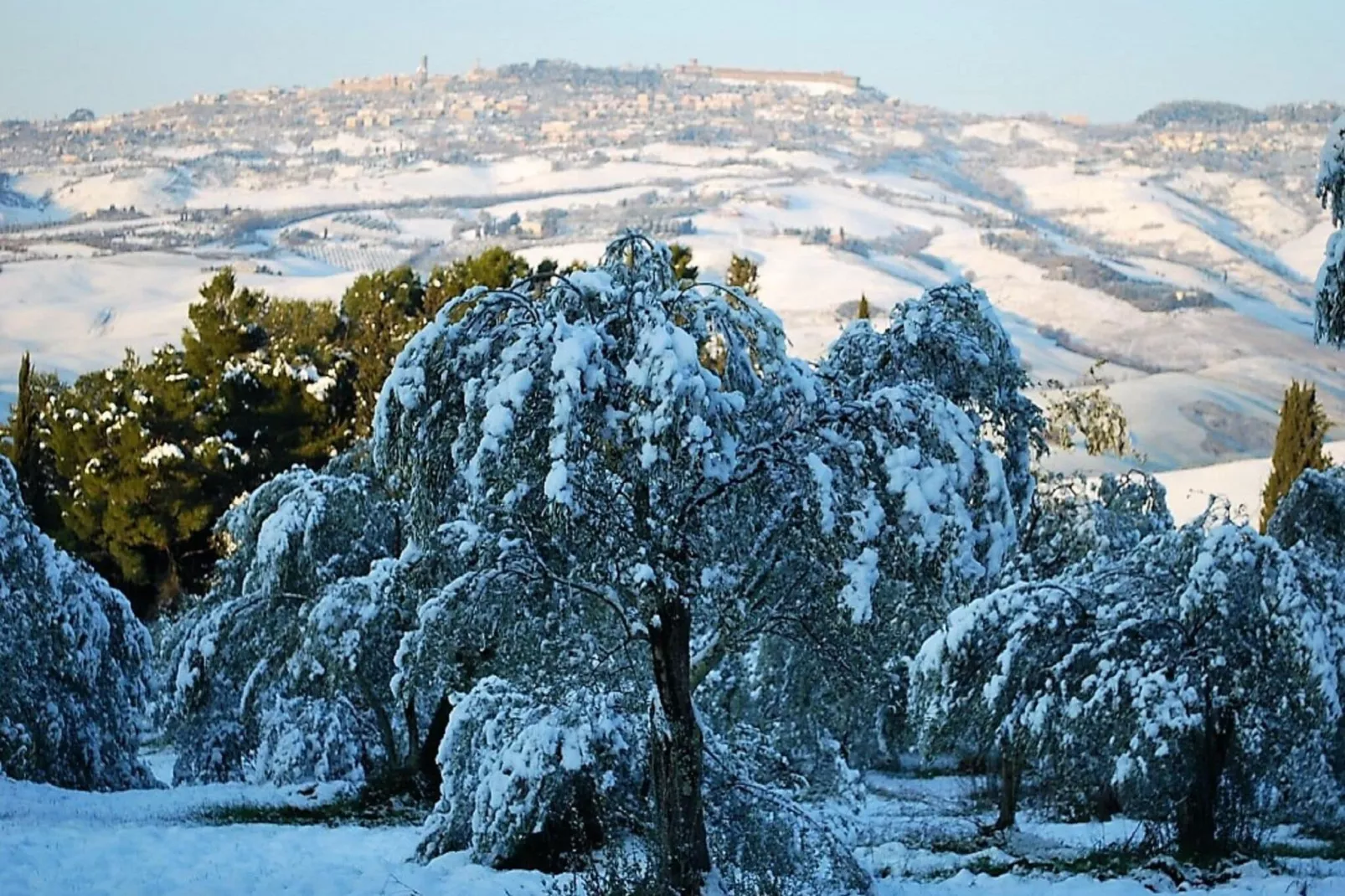 Allodola-View winter