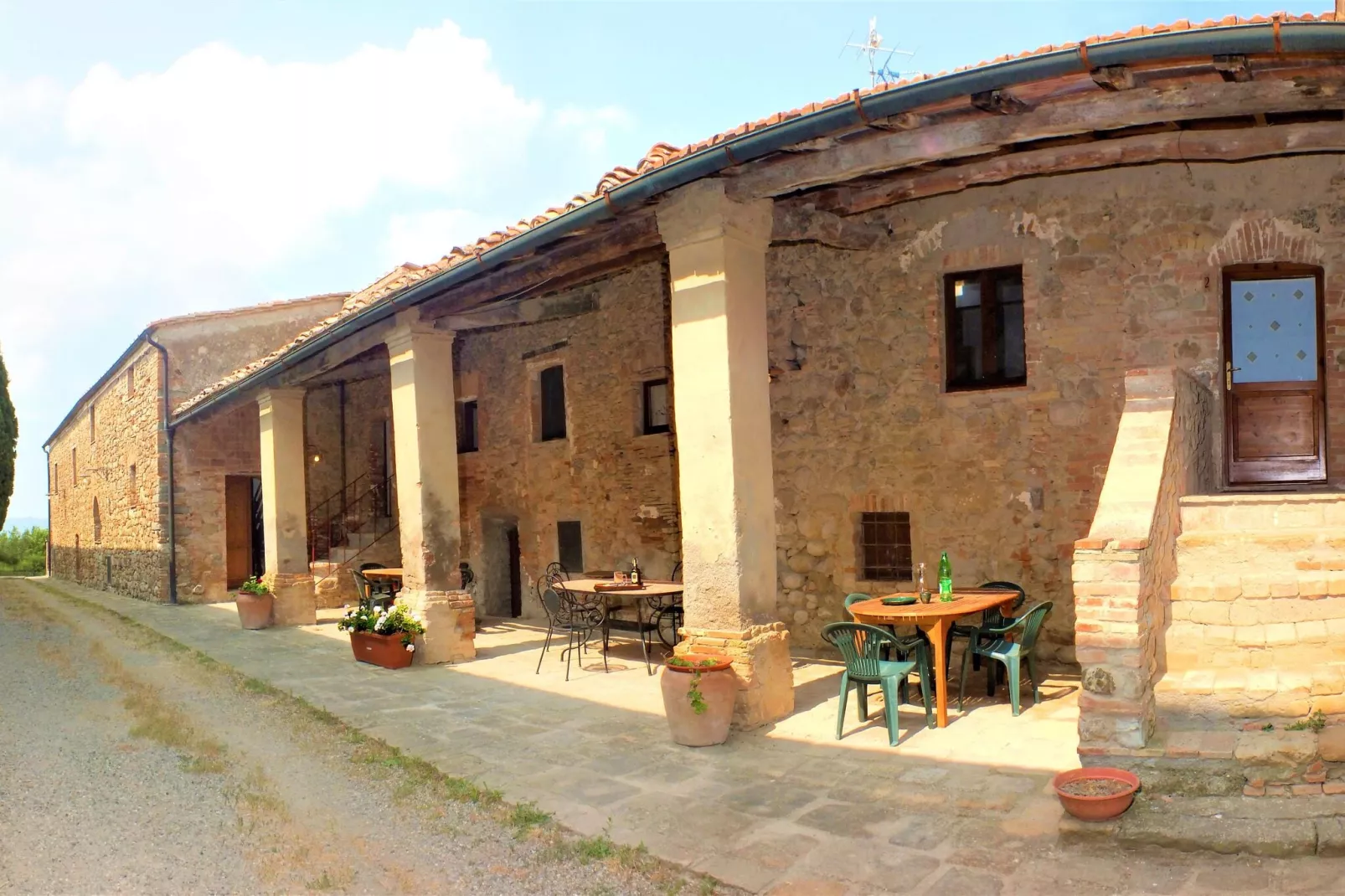 Cardellino-Exterior summer