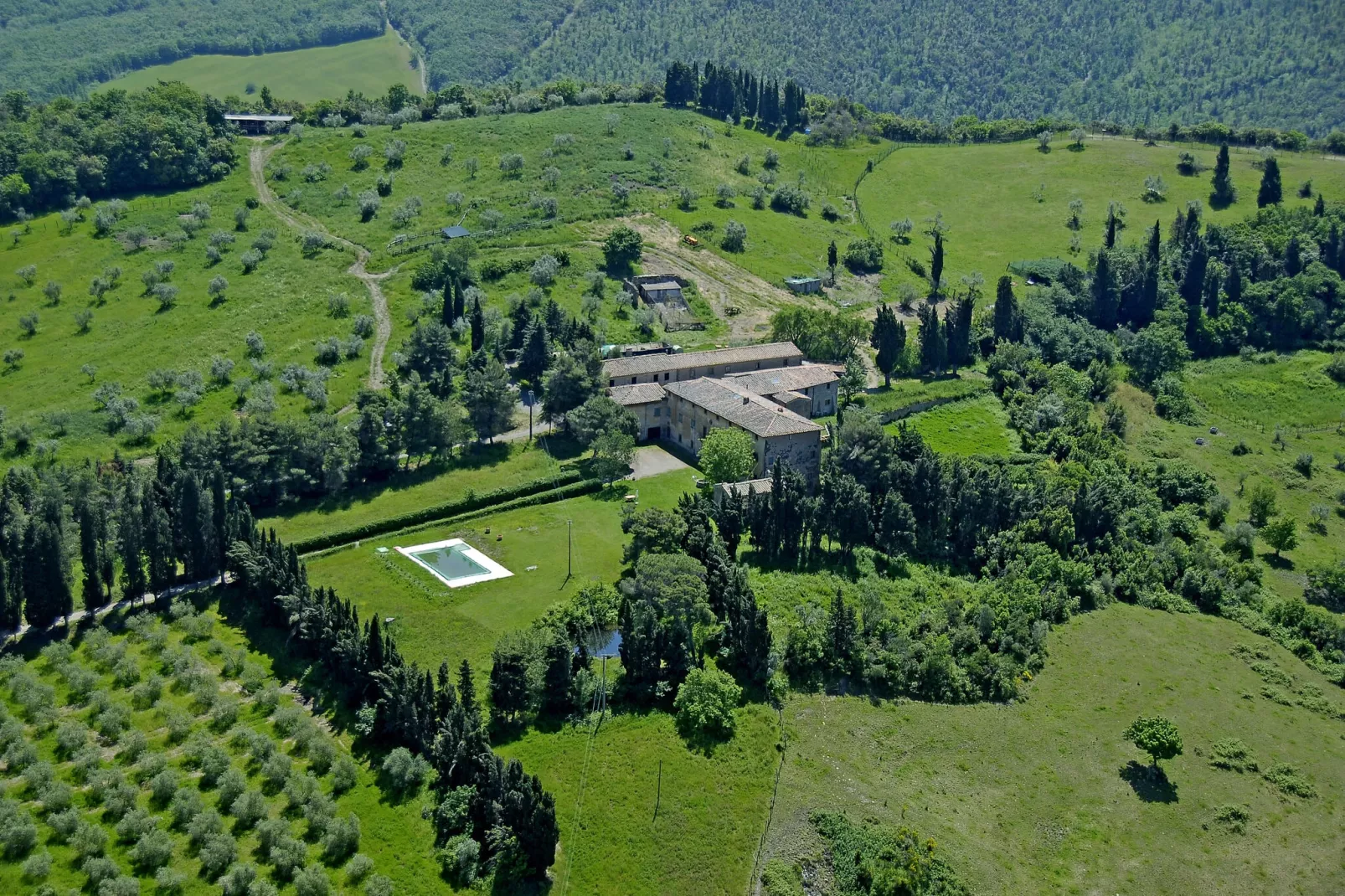 Cardellino-Exterior summer