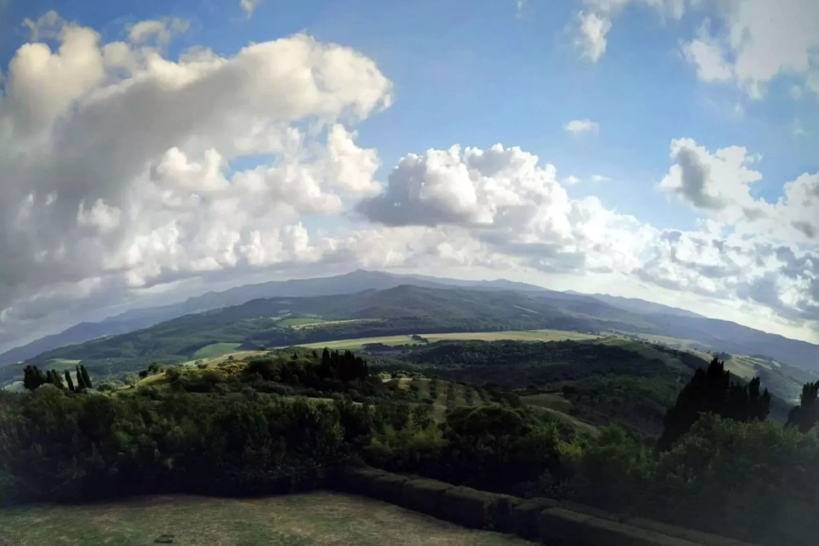 Cardellino-View summer