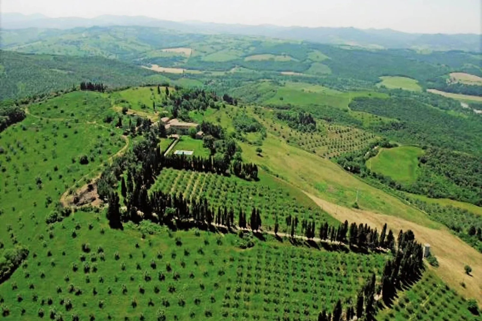 Cardellino-Exterior summer