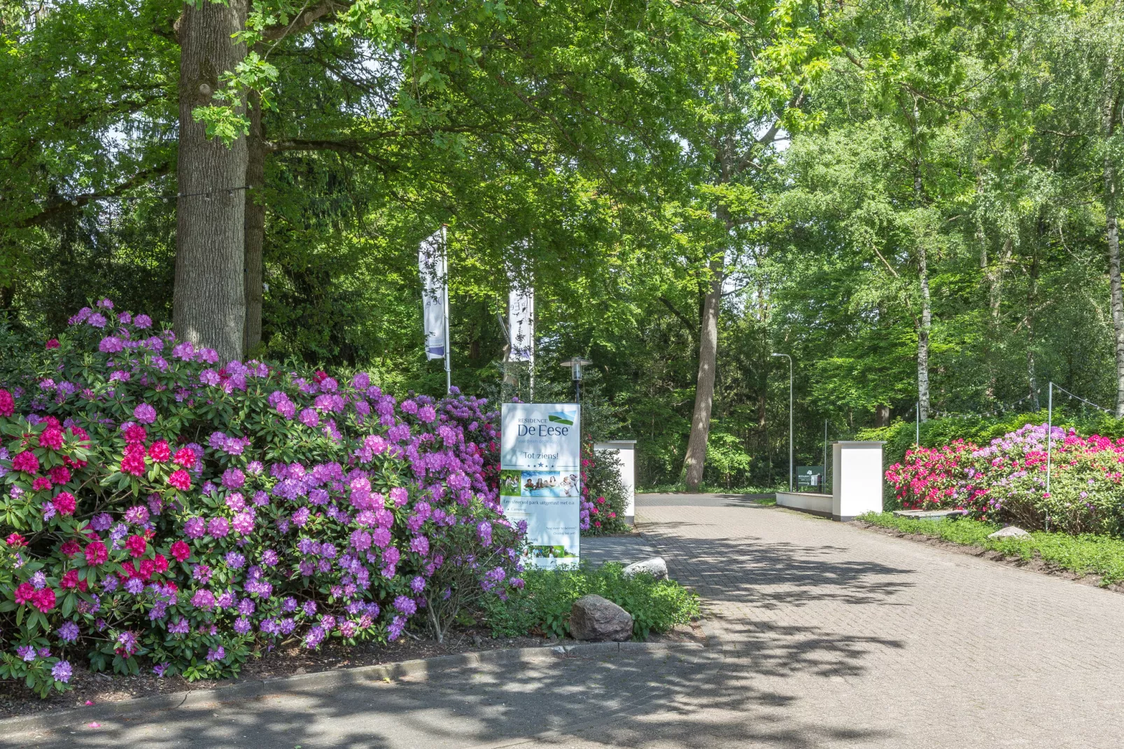 Residence de Eese 15-Park facilities