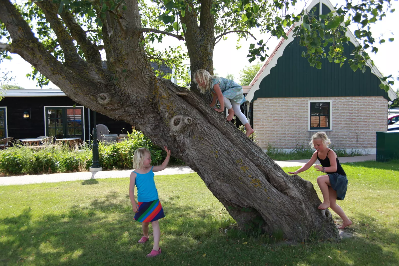 Recreatiepark Wiringherlant - Ons Huys-Areas summer 1km