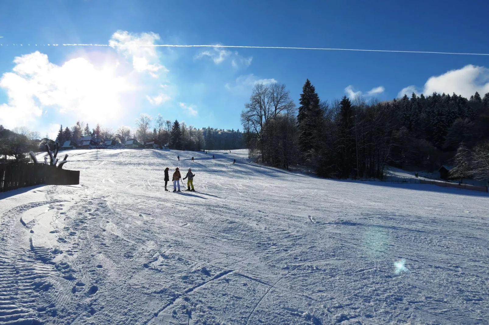Appartement Helmut Typ A Standard-Area winter 5km