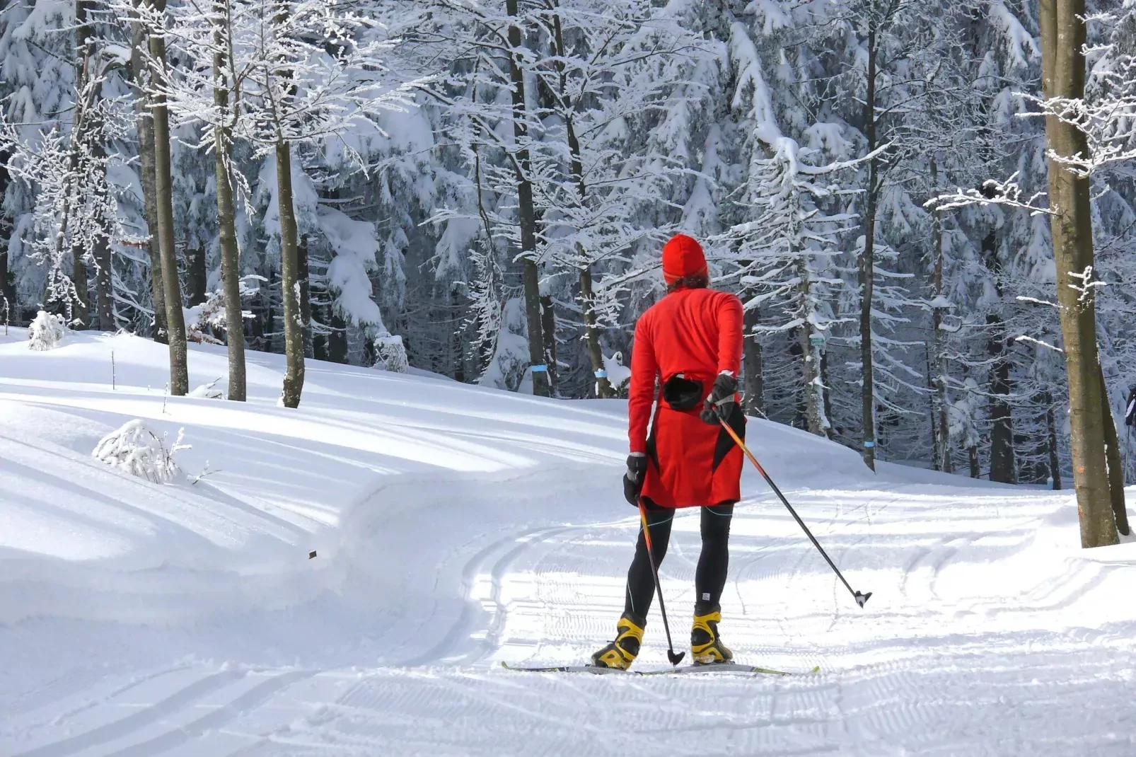 Appartement Maria Typ A Standard-Area winter 5km
