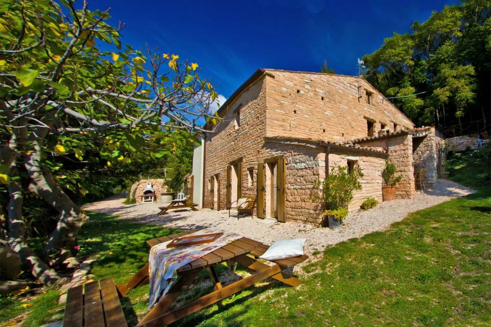 Il Conio Viola-Exterior summer