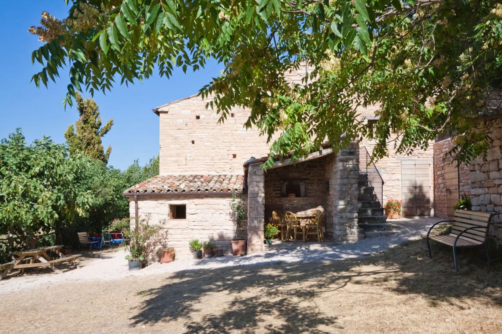 Il Conio Viola-Exterior summer