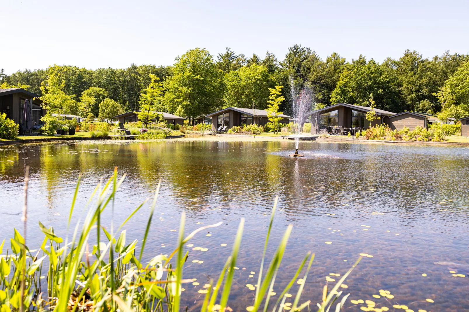 Vakantiepark Molenvelden 4-Park facilities