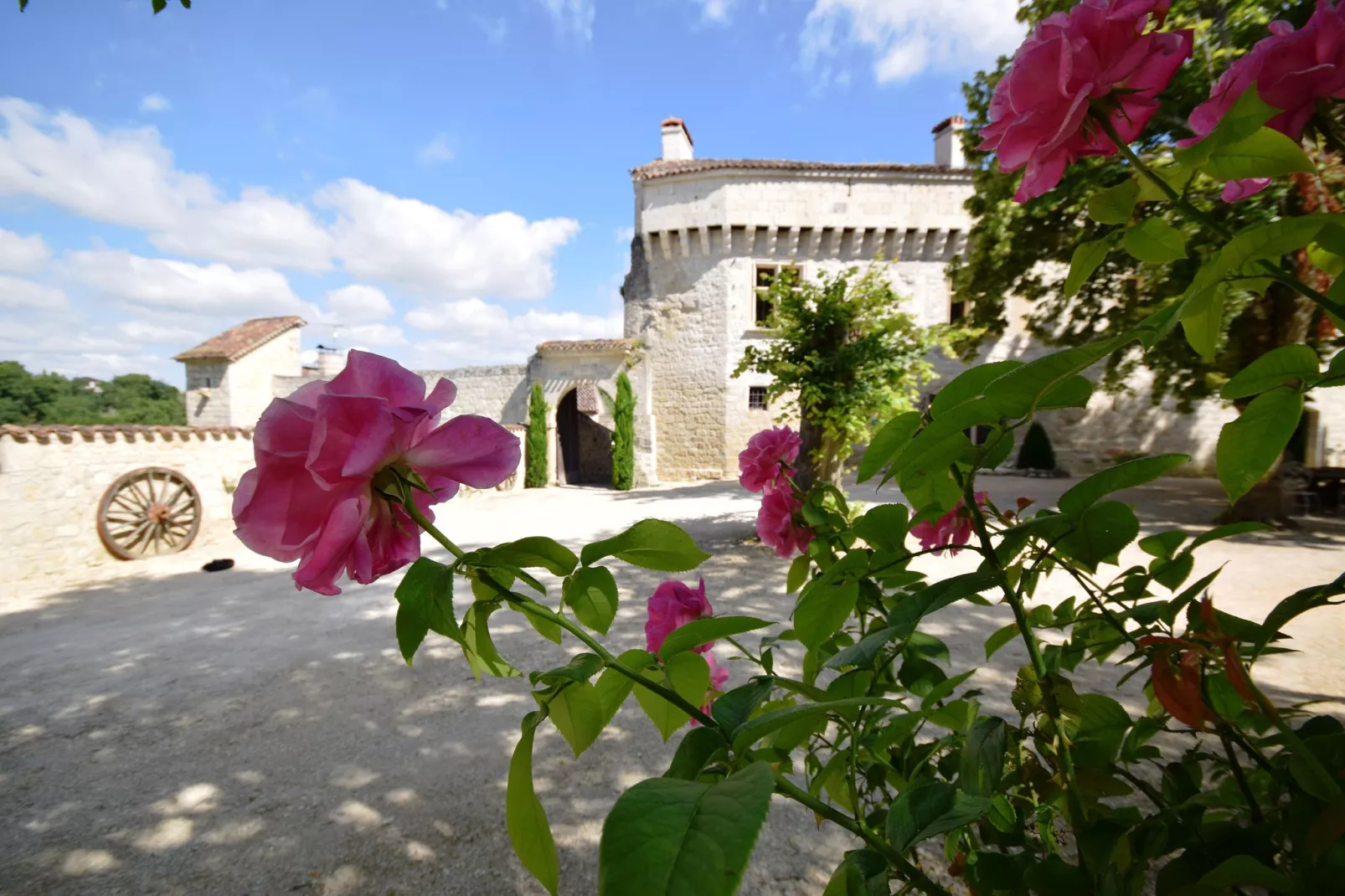 Chateau de plèneselve 12P-Atmosphere