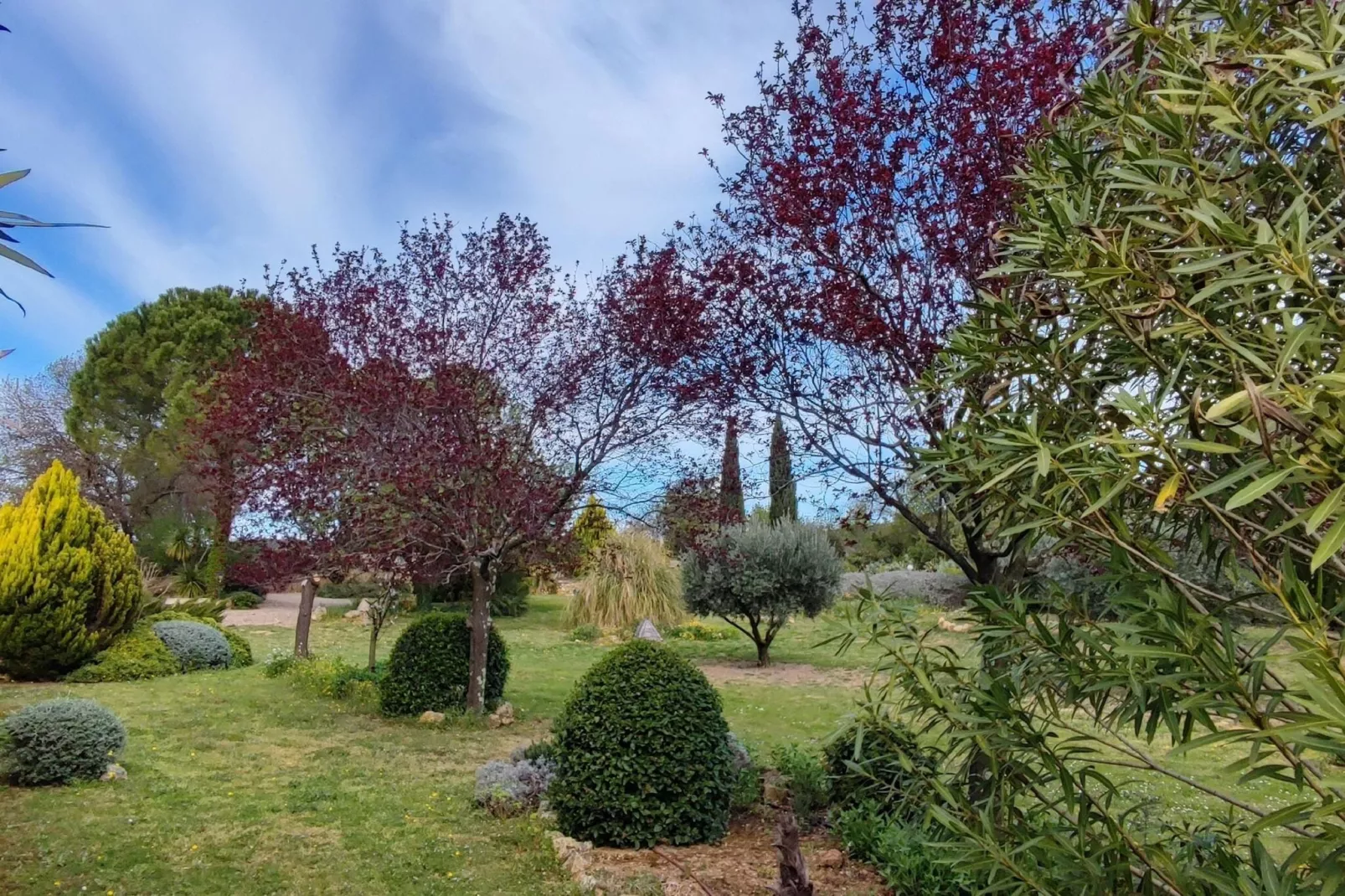 LA BOUSCADE MASTER & GUEST-Gardens summer